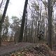 IMG 1463