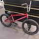 WTP WeThePeople Crysis Red Seite R