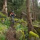 20230625-31L Harz