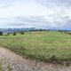 IMG 3652