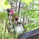 IMG 4859