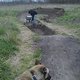IMAG0376