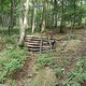 DSC00425