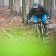 IMG 0455