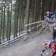 IMG 0015