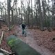 IMG 1239