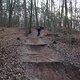 IMG 1528