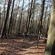 IMG 1885