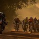 The pro men lead bunch during stage 2 of the 2019 Absa Cape Epic Mountain Bike stage race from Hermanus High School in Hermanus to Oak Valley Estate in Elgin, South Africa on the 19th March 2019

Photo by Dwayne Senior/Cape Epic

PLEASE ENSURE TH