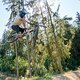 Julian T-bog Bikepark Trippstadt