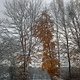 Winterpokal-Aktivität