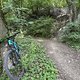 IMG 1598