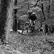 IMG 7294