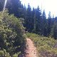 IMG 0672