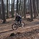 Bike Beerfelden P 094