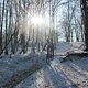 IMG 0583