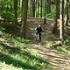 DSC00955