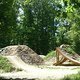 DSC00666