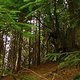 DSC09302