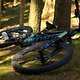 Biking is awesome