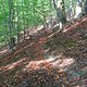 DSC02951
