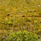 Annika Langvad during stage 6 of the 2018 Absa Cape Epic Mountain Bike stage race held from Huguenot High in Wellington, South Africa on the 24th March 2018

Photo by Sam Clark/Cape Epic/SPORTZPICS

PLEASE ENSURE THE APPROPRIATE CREDIT IS GIVEN T