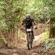 Rider cycling through a forest during stage 1 of the 2019 Absa Cape Epic Mountain Bike stage race held from Hermanus High School in Hermanus, South Africa on the 18th March 2019.

Photo by Xavier Briel/Cape Epic

PLEASE ENSURE THE APPROPRIATE CRE