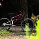Starling Cycles Mega Murmur Web Size-101
