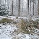 Winterpokal-Aktivität