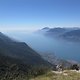 IMG 0602