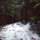 IMG1797