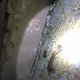 CAM00393