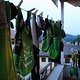 IMG 0182