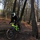 IMG 1741