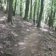 Verbindungstrail