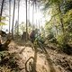 MTB-Weissensee Herbst Trail- &amp; Testtage 2019
