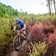 Christoph Sauser and Karl Platt during stage 5 of the 2022 Absa Cape Epic Mountain Bike stage race from Elandskloof in
Greyton to Stellenbosch, South Africa on the 25th March. 2022. Photo Sam Clark/Cape Epic