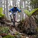 Brook Macdonald performs during practice at Red Bull Hardline in Maydena Bike Park,  Australia on February 20,  2024 // Graeme Murray / Red Bull Content Pool // SI202402200408 // Usage for editorial use only //