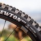 Für einheitliche Kontaktpunkte zum Untergrund haben wir an allen Bikes in unserem Testfeld Goodyear Newton-Reifen aufgezogen