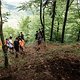 Nach schätzungsweise über eine Minute „Bikepark“ kommt das erste längere naturbelassene Stück.