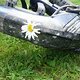 DSC09461