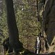 Felsen