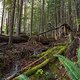 BC Squamish - Cortes Planks