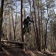 Bike Beerfelden P 351