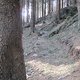 IMG 0984Large 1272301551
