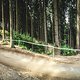 Panorama-Shot an der Freeride: Hier war vorher das alte DH-Steinfeld