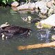 Urlaub Tierleben -6247