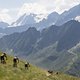 Die Fahrt über die Alpen bot auch in diesem Jahr tolle Ausblicke und atemberaubende Landschaften