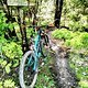 Enduro Trail @ Bikepark Hahnenklee