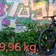 1000033536